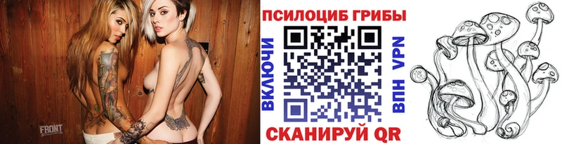 хочу   Шлиссельбург  Галлюциногенные грибы Psilocybine cubensis 